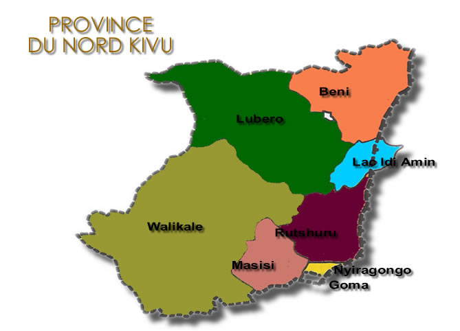 RD Congo-Sud Soudan : les députés du Nord-Kivu protestent contre la présence des rebelles de Riek Machar sur le territoire de leur province