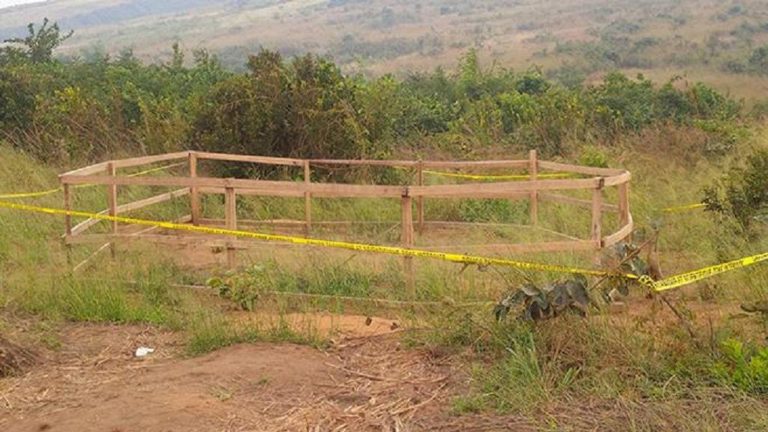 Massacres miliciens Kamuina Nsapu : 8 nouvelles fosses communes découvertes autour de Tshimbulu
