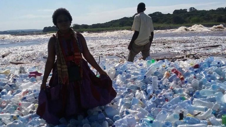 RDC : une « banquise » de bouteilles en plastique flotte sur le fleuve Congo à Kinshasa