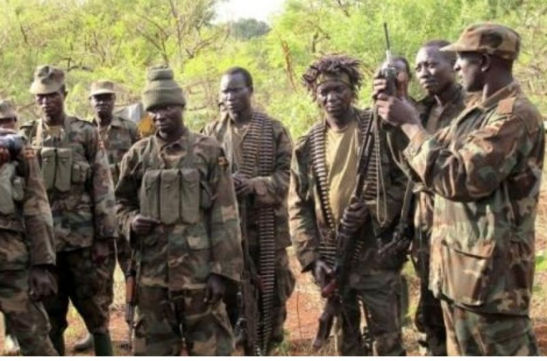 RDC : Les rebelles musulmans de l’ADF accusés de massacrer les civils