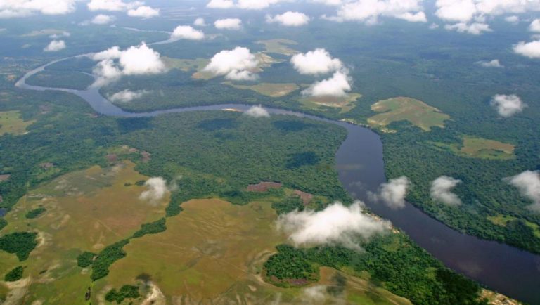 Brazzaville : Début du sommet sur le fonds bleu pour le bassin du Congo