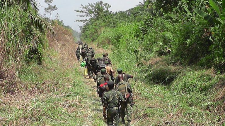 Nord-Kivu : Troublantes révélations des cultivateurs « collaborateurs des égorgeurs ADF » à Beni