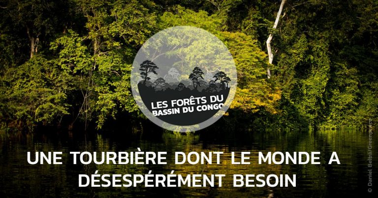 Afrique : Le Maroc soutient l’Afrique sur le développement du fleuve Congo