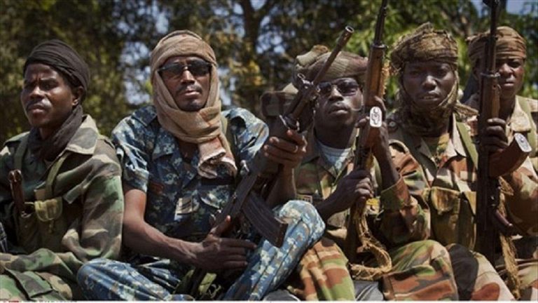 Centrafrique : Le groupe armé 3R livre 3 de ses éléments accusés de massacre