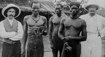 Passé colonial de la Belgique : Faute de consensus, la commission parlementaire se solde par un échec