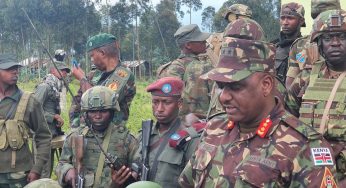 <strong>RDC : Le Rwanda doit cesser « tout soutien au M23 » [Ambassade américaine]</strong>