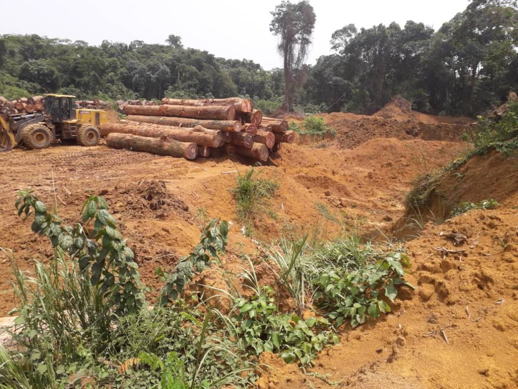 RDC : Un crime « environnemental » à ciel ouvert sous silence à Bolomba à l’Equateur [DOSSIER]