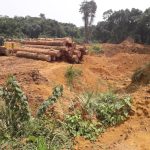 RDC : Un crime « environnemental » à ciel ouvert sous silence à Bolomba à l’Equateur [DOSSIER]