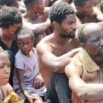 Les Wazalendo et les Zombies de Goma