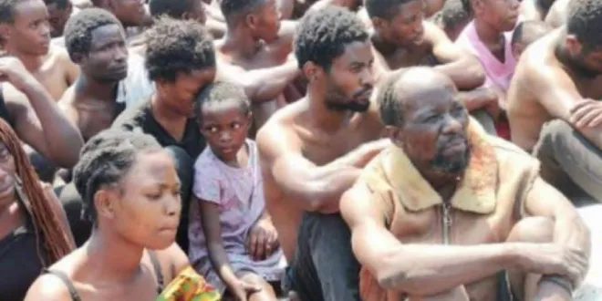 Les Wazalendo et les Zombies de Goma