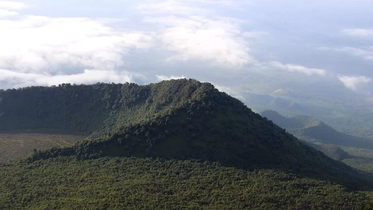 Congo : Sommet international sur les forêts tropicales à Brazzaville