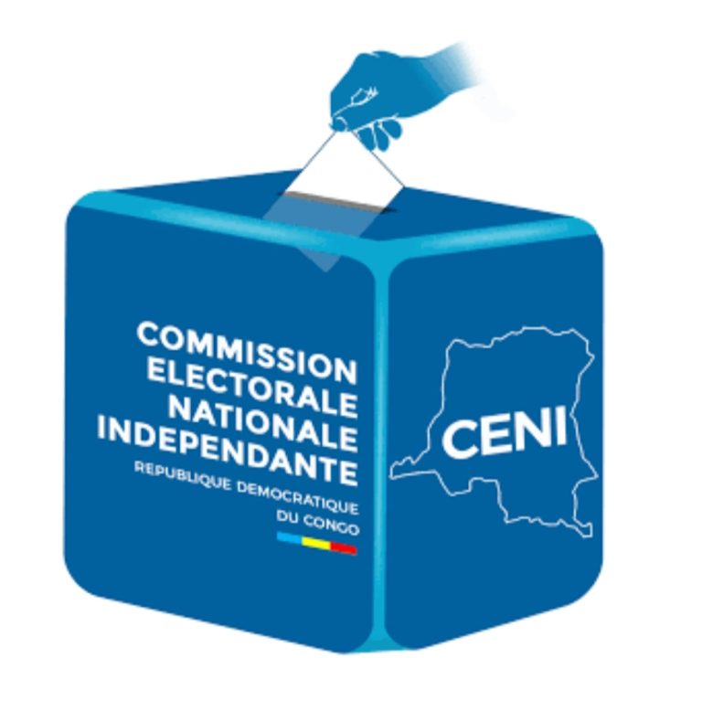 RDC : LA DÉMOCRATIE CENSITAIRE… [OPINION]