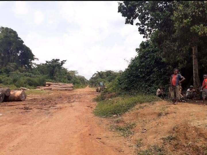 Environnement : Le « Crime d’Ecocide » à ciel ouvert par les chinois de COKIBAFODE et SCIFOR se poursuit à l’Equateur
