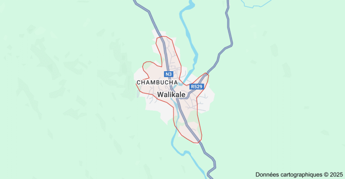 Données cartographiques © 2025 Google