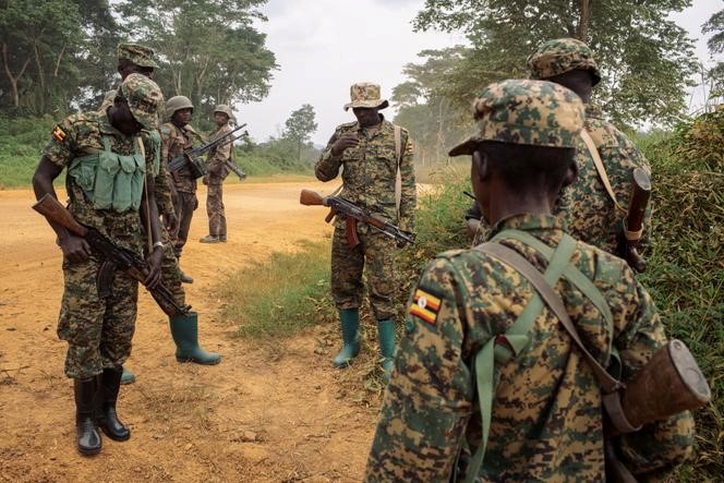 Des soldats des Forces de défense du peuple ougandais (UPDF) et soldats du 214e bataillon DP des Forces armées de la République démocratique du Congo (FARDC) (arrière-plan), dans le cadre de l’opération conjointe entre les deux armées, Shujaa, le long d’une route entre Bulongo et Beni, au Nord-Kivu, dans l’est de la République démocratique du Congo, le 17 décembre 2024. PHILÉMON BARBIER / AFP