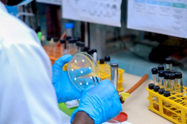 SANTE /OMS : La République Démocratique du Congo renforce la réponse à l’épidémie du charbon