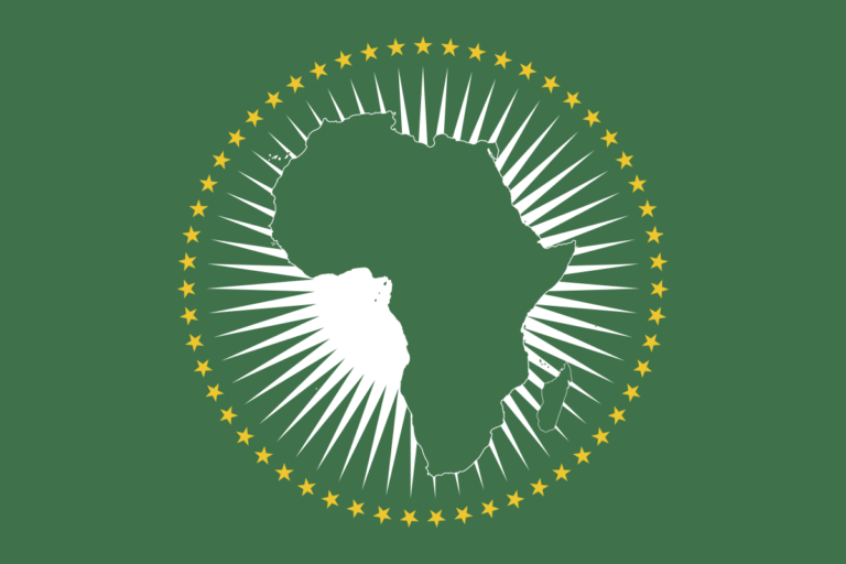 L’Afrique est-elle sous « l’empire de la loi de la jungle » ?